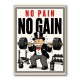 No Pain No Gain