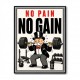 No Pain No Gain