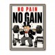 No Pain No Gain