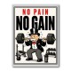 No Pain No Gain