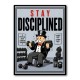 Stay Disciplined