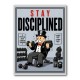 Stay Disciplined