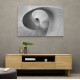 Curves Wall Art