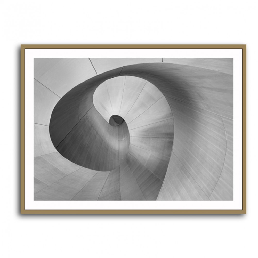 Curves Wall Art