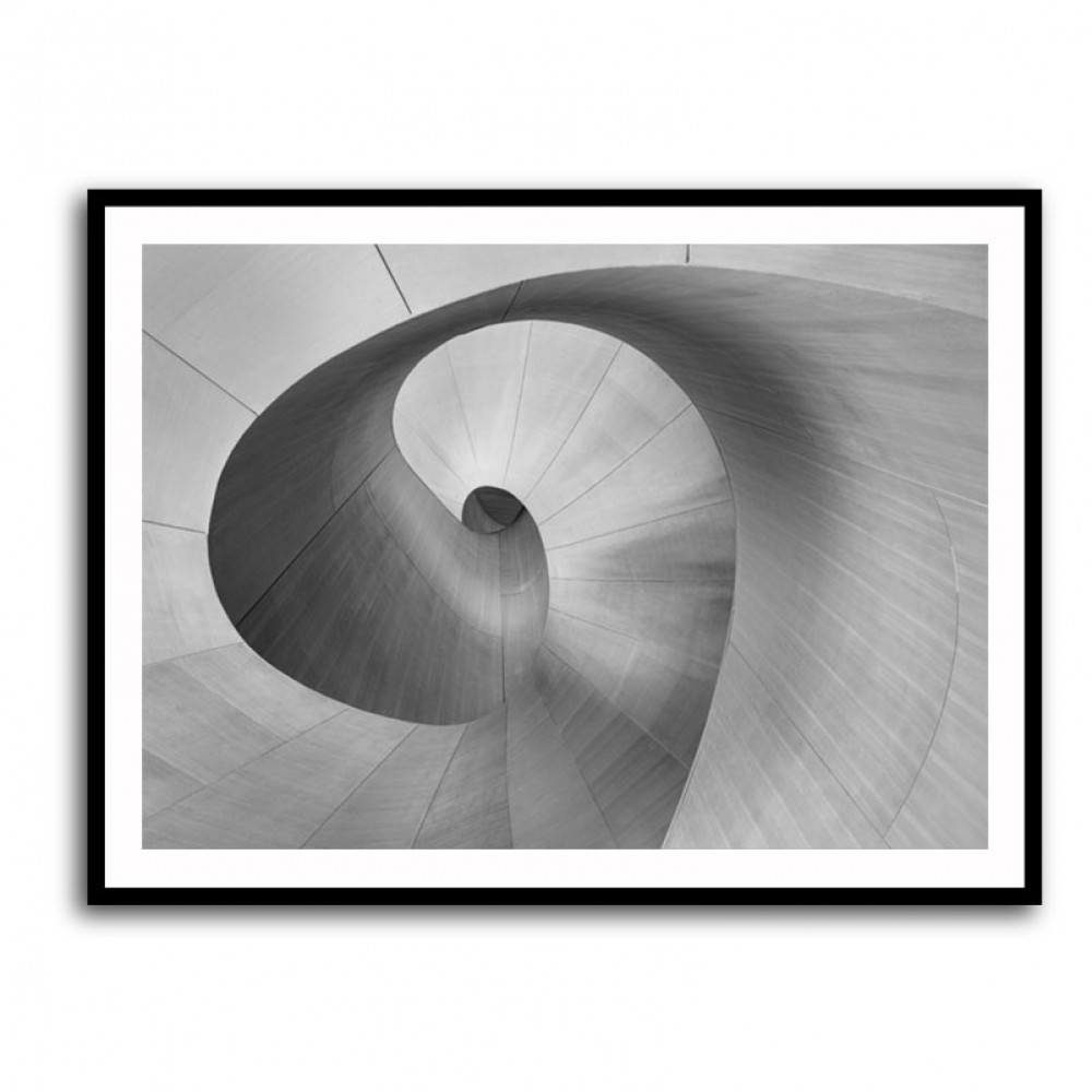 Curves Wall Art