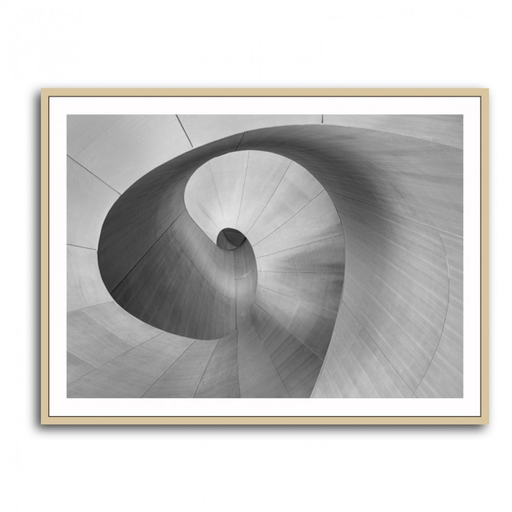 Curves Wall Art