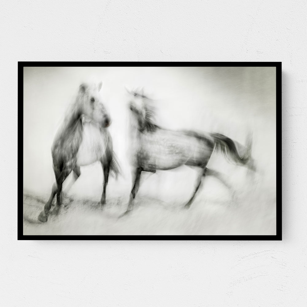 Shivers Horses