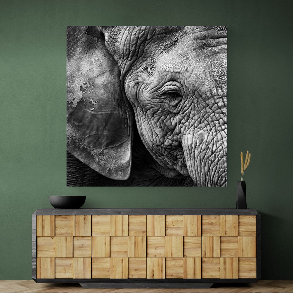 Elephant Skin