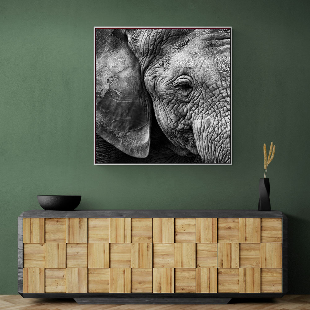 Elephant Skin