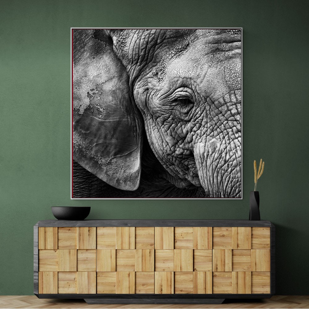 Elephant Skin