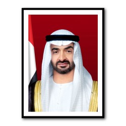 Sheikh Mohammed bin Zayed Al Nahyan Portrait