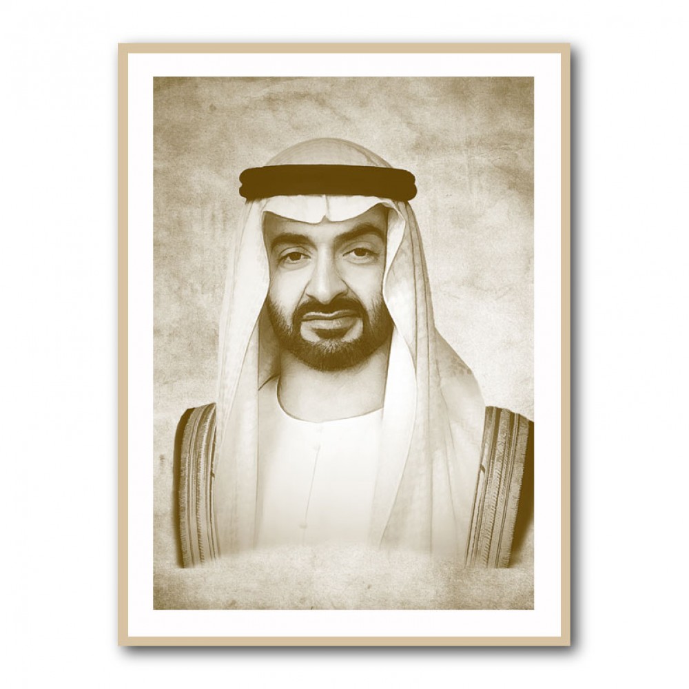 Sheikh Mohammed bin Zayed Al Nahyan Portrait