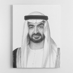 Sheikh Mohammed bin Zayed Al Nahyan Portrait