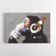 Banksy DJ Monkey