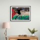 Banksy Flower Thrower Palestine Flag