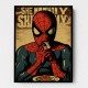 Spiderman Grunge Pop 1 Wall Art Spiderman Grunge Pop 1 Wall Art