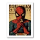 Spiderman Grunge Pop 1 Wall Art Spiderman Grunge Pop 1 Wall Art