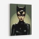 Catwoman Illustrated 1 Wall Art