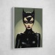 Catwoman Illustrated 1 Wall Art