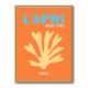 Capri Dolce Vita Travel Poster Capri Dolce Vita Travel Poster