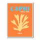 Capri Dolce Vita Travel Poster Capri Dolce Vita Travel Poster