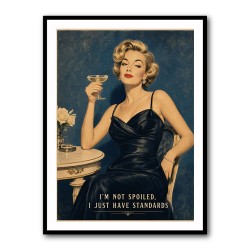 I'm Not Spoiled - I just Have Standards Vintage Style Wall Art