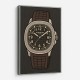 Patek Aquanaut Brown Cartoon Illistration 2 