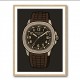 Patek Aquanaut Brown Cartoon Illistration 2 