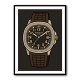 Patek Aquanaut Brown Cartoon Illistration 2 