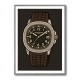 Patek Aquanaut Brown Cartoon Illistration 2 