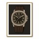 Patek Aquanaut Brown Cartoon Illistration 2 