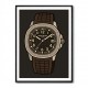 Patek Aquanaut Brown Cartoon Illistration 2 