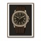 Patek Aquanaut Brown Cartoon Illistration 2 