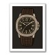 Patek Aquanaut Brown Cartoon Illistration 2 