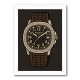Patek Aquanaut Brown Cartoon Illistration 2 