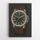 Patek Aquanaut Brown Cartoon Illistration 