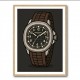 Patek Aquanaut Brown Cartoon Illistration 