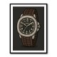 Patek Aquanaut Brown Cartoon Illistration 