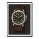 Patek Aquanaut Brown Cartoon Illistration 