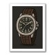 Patek Aquanaut Brown Cartoon Illistration 