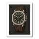 Patek Aquanaut Brown Cartoon Illistration 