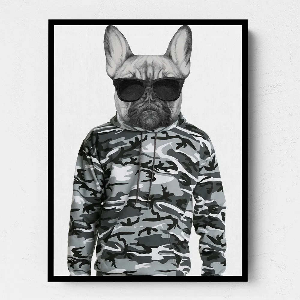 French Bulldog Wearing Sunglasses and Cammo Hoodie French Bulldog Wearing Sunglasses and Cammo Hoodie