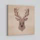Deer Head Deer Head