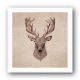 Deer Head Deer Head