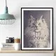 Famous Quote Cat Famous Quote Cat