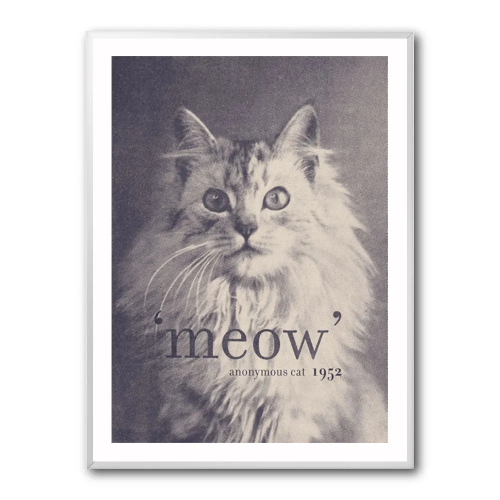 Famous Quote Cat Famous Quote Cat