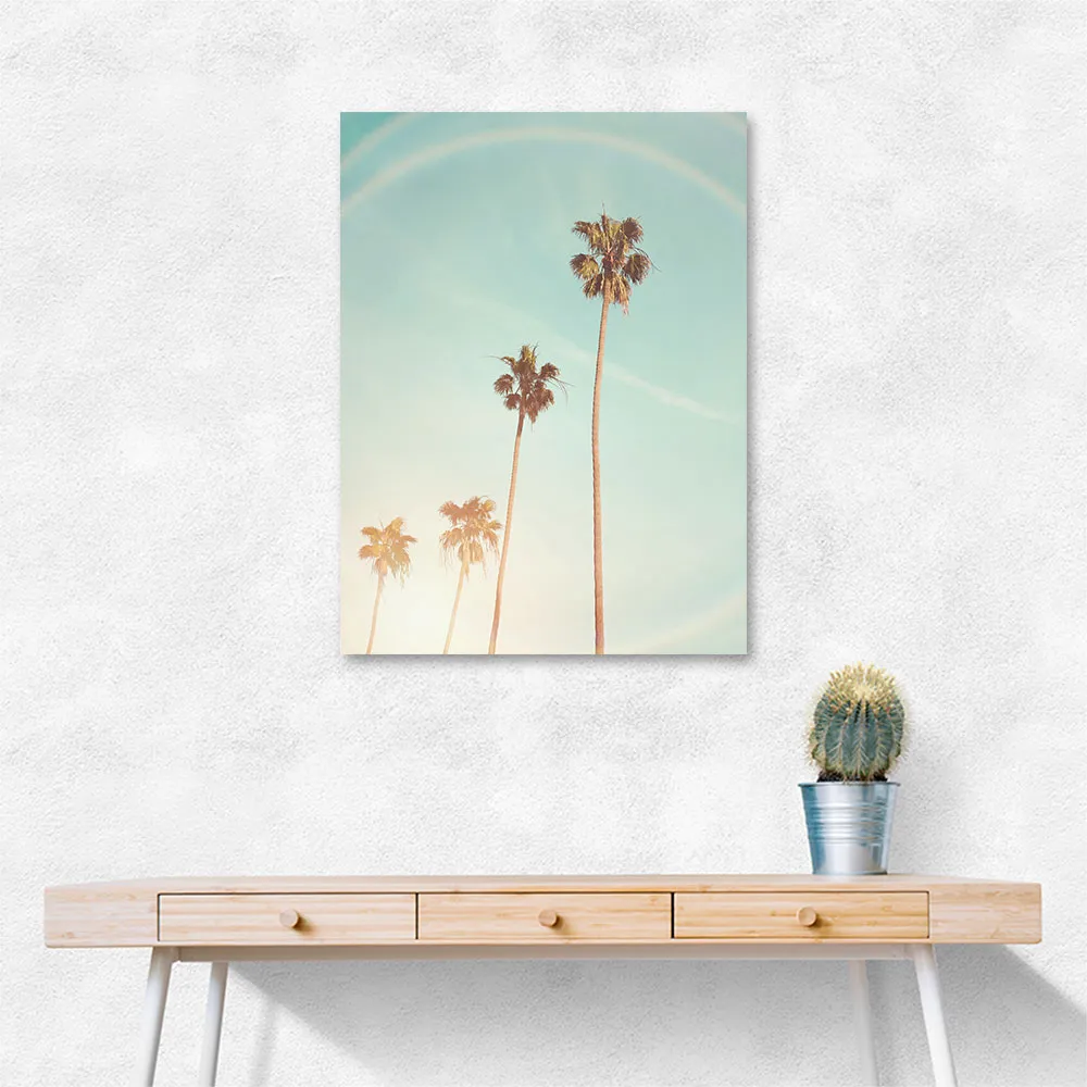 Sunny Cali Palm Tree Sunny Cali Palm Tree