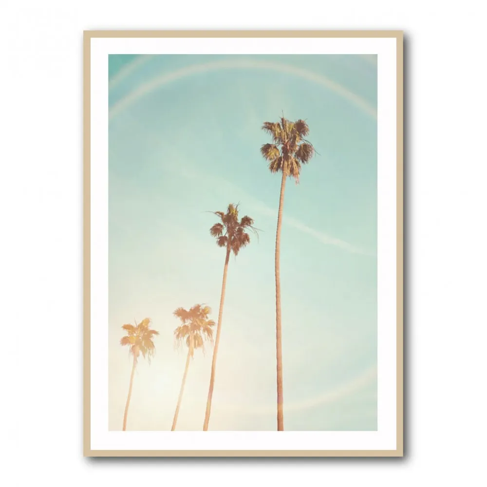 Sunny Cali Palm Tree Sunny Cali Palm Tree