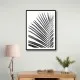 BW Palm Leaf BW Palm Leaf