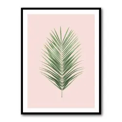 Palm Leaf Blush